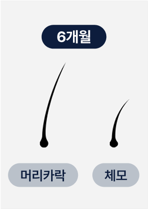 느린 성장 속도