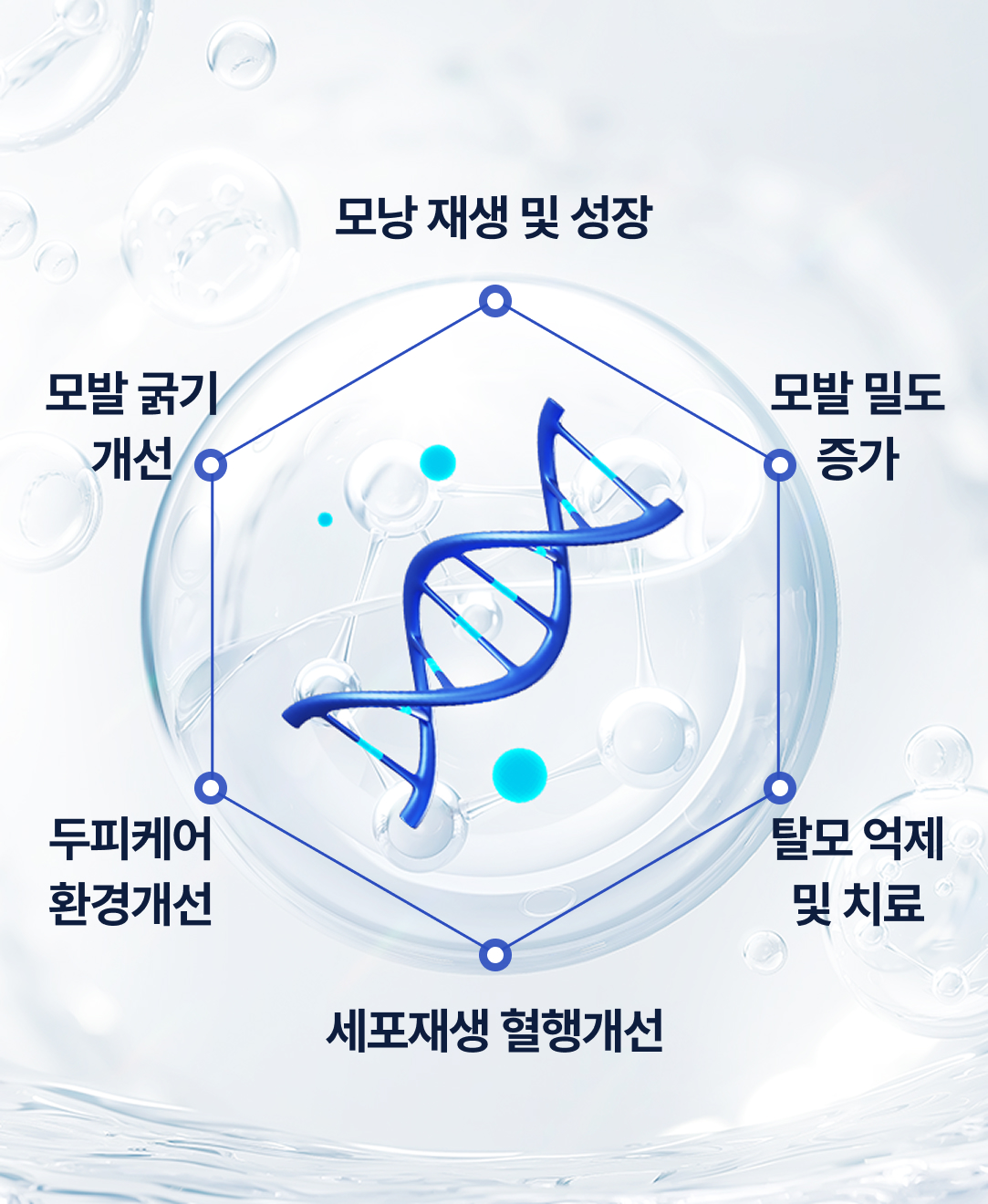 모발성장사이클 정상화