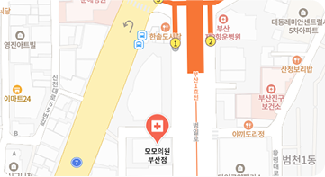 모모성형외과 의원 지도